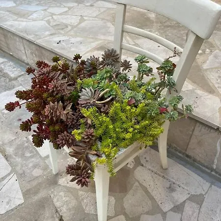 Pehar Deluxe 7 Appartement Makarska